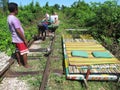 Tourists doing Bamboo train in Cambodia Royalty Free Stock Photo