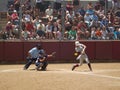 Batter from Kutztown, PA