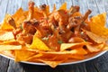 Battered crispy chicken wing lollipops, close-up Royalty Free Stock Photo