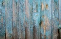 Battered faded old light blue painted vertical wooden boards with peeling.