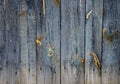 Battered, faded old vertical wooden planks with splotches of knots and remnants of light blue paint. Royalty Free Stock Photo