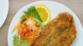 Battered fish steak with salad and vegetable Royalty Free Stock Photo