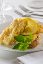 Battered hake Royalty Free Stock Photo