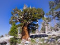 Hiking In Desolation Wilderness Near Lake Tahoe