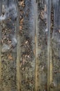 Battered old vertical rough-hewn pine wood planks with remnants of bark. Royalty Free Stock Photo