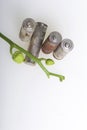 Batteries of corrosion. They lie on a white surface, covered with a branch of orchids with unrevealed buds. Environmental protecti Royalty Free Stock Photo