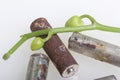 Batteries of corrosion. They lie on a white surface, covered with a branch of orchids with unrevealed buds. Environmental protecti Royalty Free Stock Photo