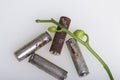 Batteries of corrosion. They lie on a white surface, covered with a branch of orchids with unrevealed buds. Environmental protecti Royalty Free Stock Photo