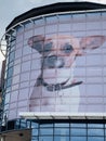 Battersea Dogs & Cats Home, now known as Battersea, is an animal rescue centre for dogs and cats.