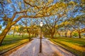 The Battery in Charleston, South Carolina, USA Royalty Free Stock Photo