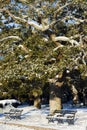 Battery Park Charleston, January of 2018 Royalty Free Stock Photo