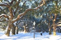 Battery Park, Charleston, SC Royalty Free Stock Photo