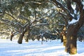 Battery Park, Charleston, SC Royalty Free Stock Photo