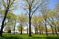 Battery Park in New York City