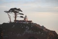 Battery Point Lighthouse and Tree View Royalty Free Stock Photo