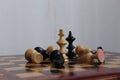 Battle on the chessboard equated with what in real life for the wealth Royalty Free Stock Photo