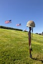 Battle Cross Rifle and Flags