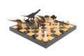 The battle of dinosaurs with chess on a chessboard