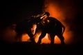 Battle of Elephants. Elephant fighing silhouettes on fire background or Two elephant bulls interact and communicate while play fig Royalty Free Stock Photo