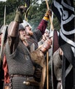 1066 Battle of Hastings Royalty Free Stock Photo