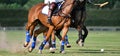 Battle in horse polo sport Royalty Free Stock Photo