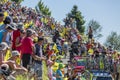 Battle in Jura Mountains - Tour de France 2016 Royalty Free Stock Photo