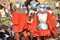 Battle knights Royalty Free Stock Photo