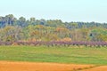 Battle of Monmouth: Battlefield Orchard