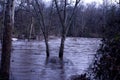 Battle park Rocky Mount North Carolina flooding