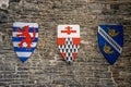 battle shield against a wall in the Gravensteen castle in Ghent, Belgium Royalty Free Stock Photo