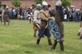 Battle of the Vikings. Historical reenactment and festival