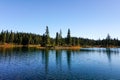 Strathcona Provincial Park: Forbidden Plateau ~ Paradise Meadows