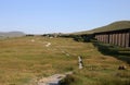 Batty Moss, Ribblehead, Penyghent, North Yorkshire