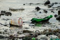 Food plastic contamination at sea.