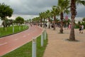 Batumi, Georgia - August 2018: Palm trees alley at promenade of Batumi, Georgia and bicycle road Royalty Free Stock Photo