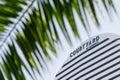 Courtyard by Marriott sign, surrounded by palm leaves.