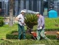 Landscaping of the park. Work in the garden. City gardener. Man at work. Planting plants in a beautiful park. Rake