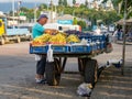 Mobile stall with grapes. Fruit seller on a cart. Asian market. Private business of local residents