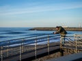 photographer takes pictures of the sea. The man looks at the screen of the camera. Creative profession. Traveling with technology