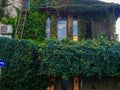 Streets of the southern city. Ivy on the building. Resort place. Streets of Batumi. House overgrown with greenery. Beautiful