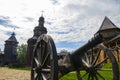 Baturyn Citadel the Cossack Hetmanate with ancient cannon Royalty Free Stock Photo