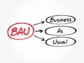 BAU - Business as Usual acronym