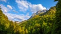 Bavaria, Germany. Evening in Bavarian Alps mountains with green trees Royalty Free Stock Photo