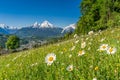 Bavarian Alps with beautiful flowers and Watzmann in springtime, Berchtesgadener Land, Germany Royalty Free Stock Photo