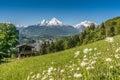 Bavarian Alps with beautiful flowers and Watzmann in springtime Royalty Free Stock Photo