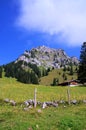 Wendelstein, Germany Royalty Free Stock Photo