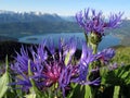 Bavarian alps: Jochberg