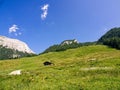 Bavarian alps landscape in summer Royalty Free Stock Photo