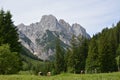 Bavarian Alps Royalty Free Stock Photo