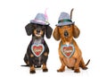 Bavarian beer dachshund sausage dogs , couple of two Royalty Free Stock Photo